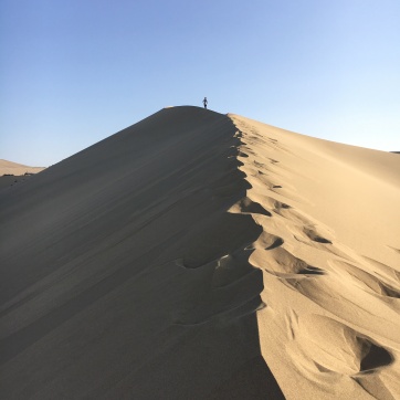Desert - building dunes in the desert (4)